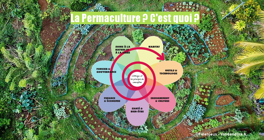permaculture photo formation fb
